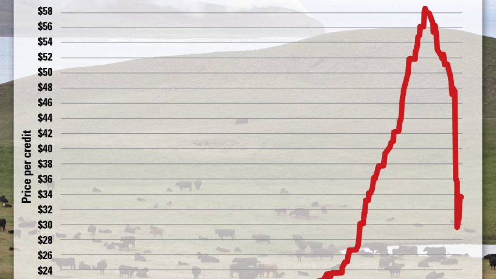 Carbon credit price slump shows govt has too much market influence – Queensland Country Life