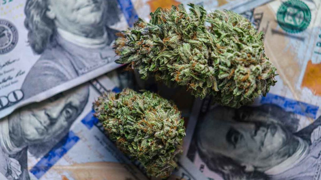 These 3 Cannabis Penny Stocks Are Making Big Money Moves