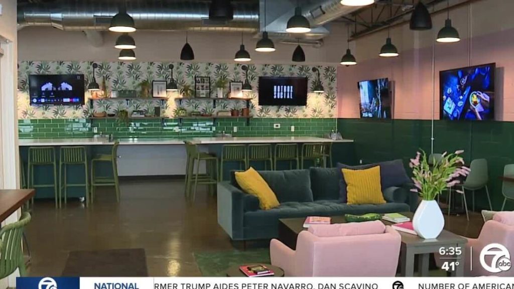 Inside Michigan’s first-ever cannabis consumption lounge in Hazel Park – WXYZ Detroit