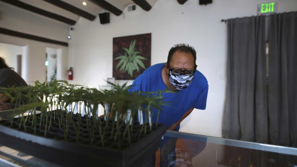 Warily, tribes prepare for cannabis ventures in New Mexico – New Canaan Advertiser