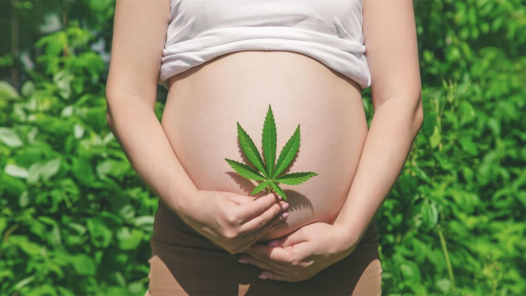 Cannabis-Exposed Babies Face Poorer Metabolic Health | MedPage Today