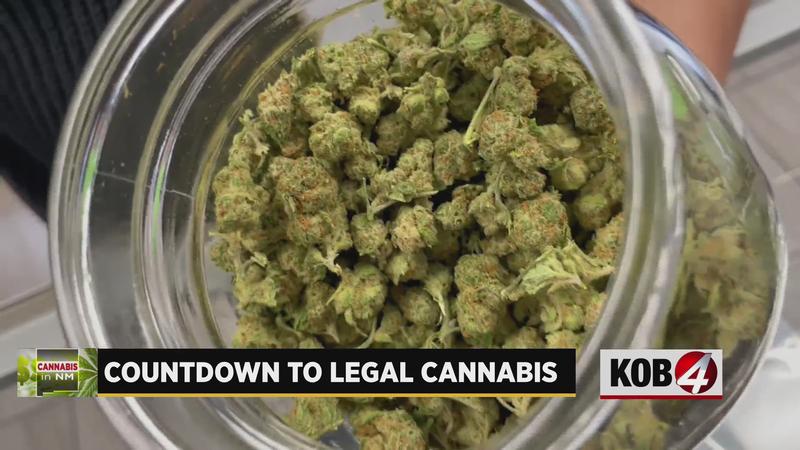 Projections vary on how much legal recreational cannabis sales will help New Mexico | KOB 4