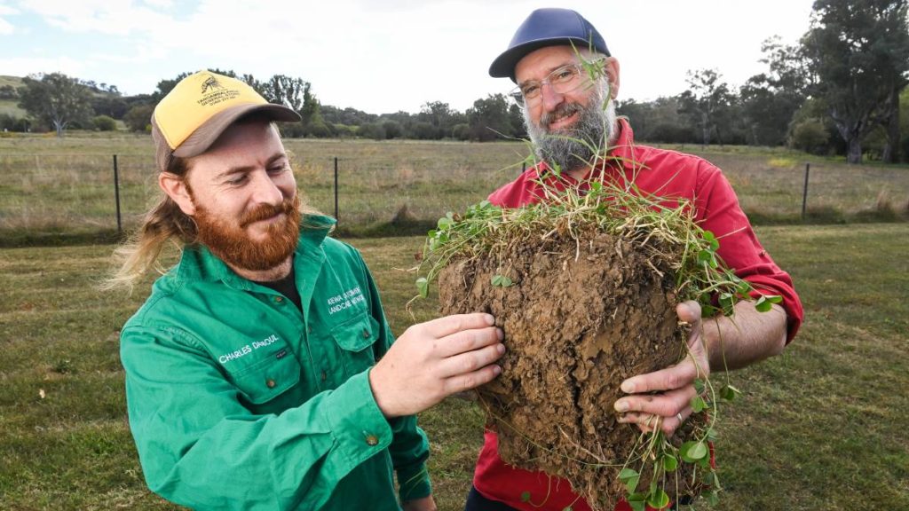 More farmers will consider carbon sales due to tax relief in budget | The Border Mail | Wodonga, VIC