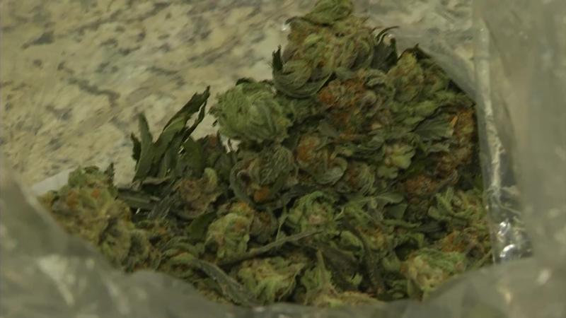 Will legal cannabis sales impact the black market? | KOB 4