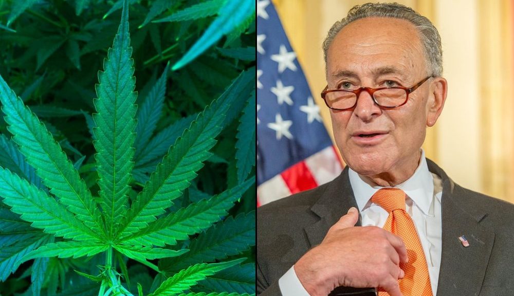 Schumer Talking To GOP To ‘See What They Want’ In Marijuana Legalization Bill Coming This Month