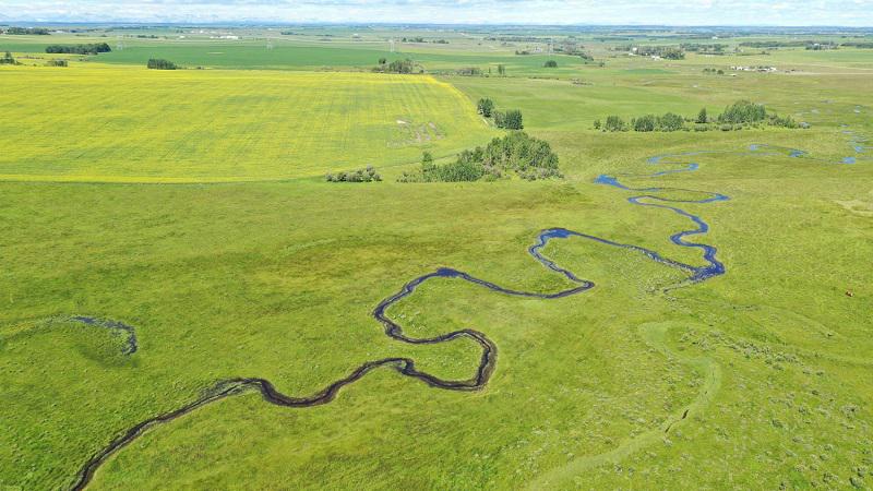 Olds College Smart Farm receives funding for livestock production applied research