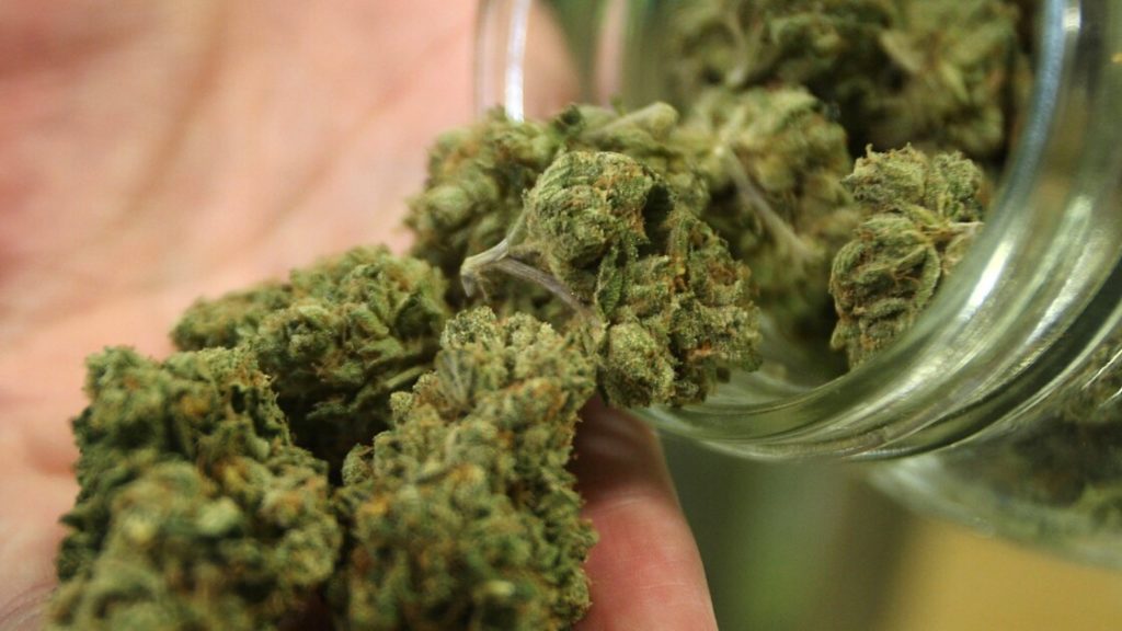 Arizona Dept. of Health to announce winners of social equity cannabis licenses Friday – KNAU