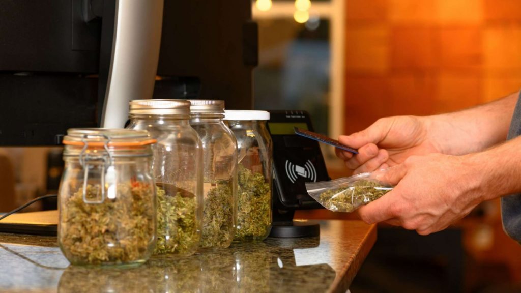 State tax law will now treat cannabis vendors like other businesses – Times Union