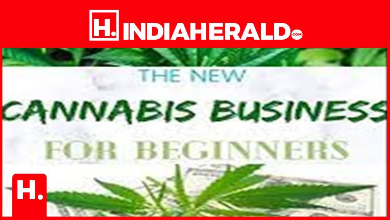 New business: Cannabis shops coming up – India Herald