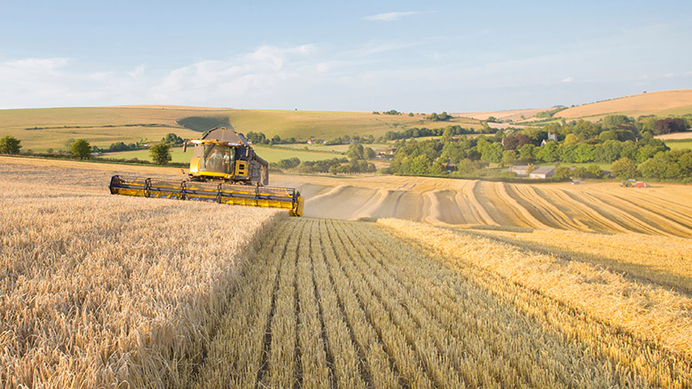 Food and Energy Price Shocks from Ukraine War Could Last for Years – World Bank Group