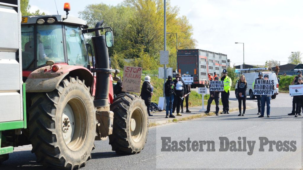 Two arrested as tempers flare at livestock market vegan protest – Eastern Daily Press