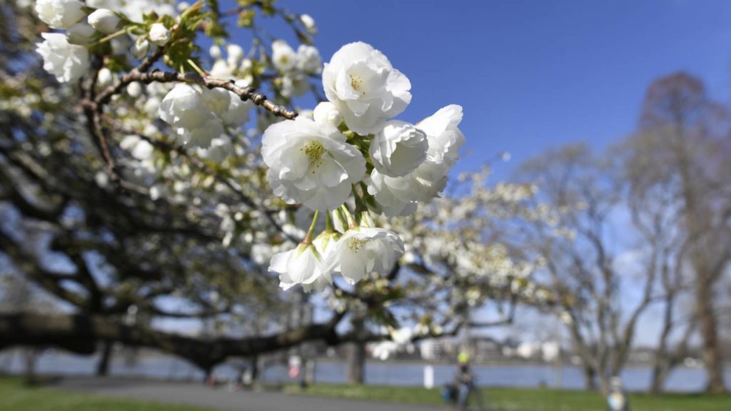 Sunny, warm Mother’s Day; Big-time warming trend ahead – WHIO-TV